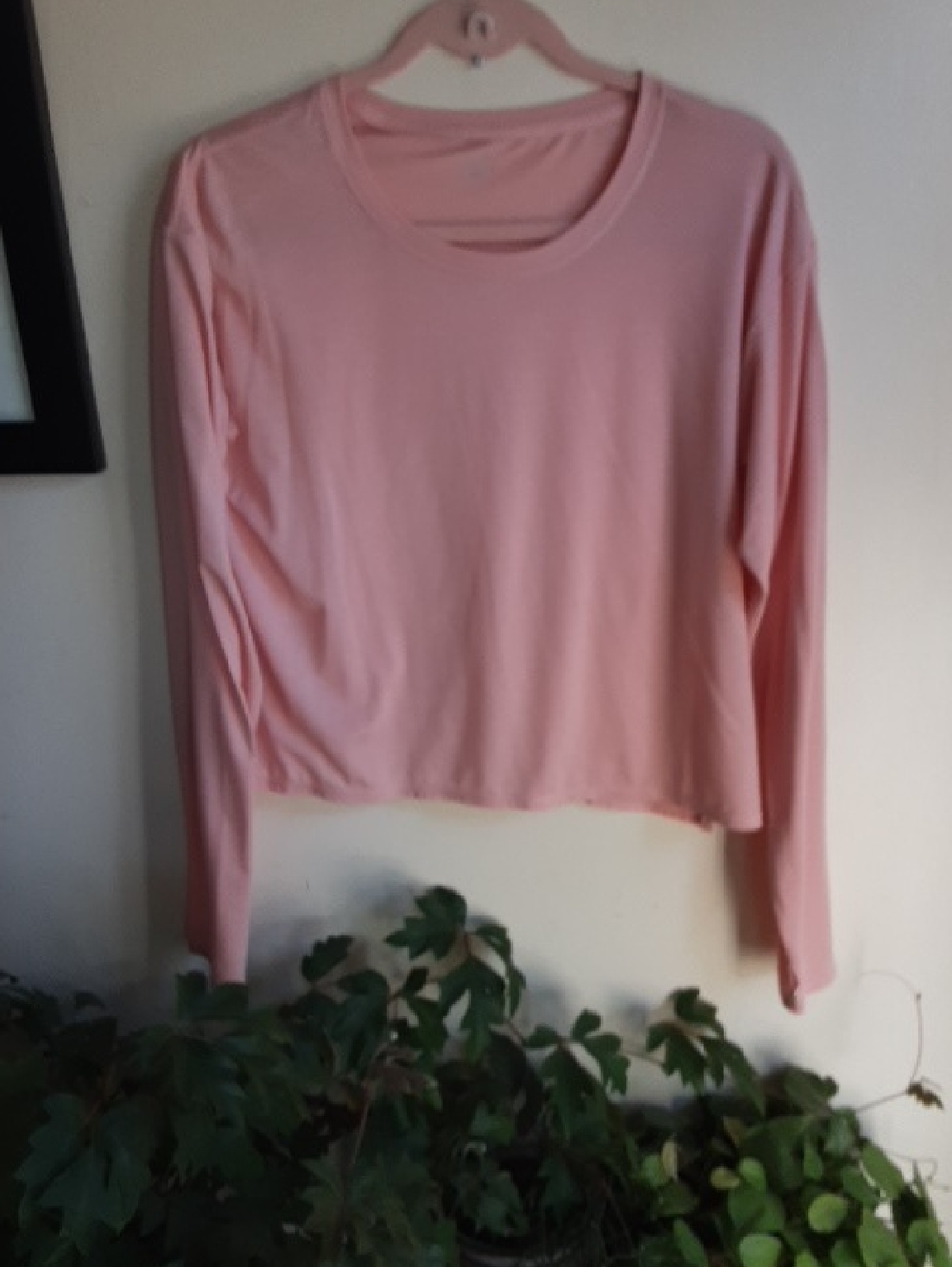 Calme(Johnny Was) Long Sleeve Top - Light Pink